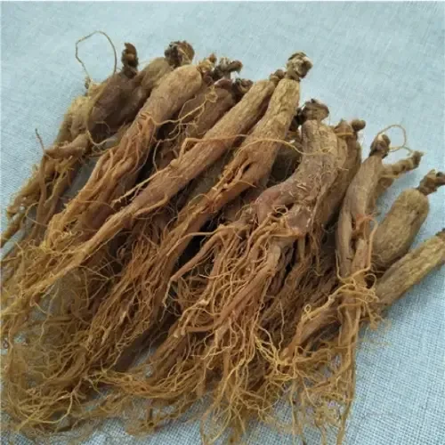 Panaxginseng root p.e.